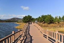 별별여행 > 송지호관망타워 | 별별시장&별별여행 ┃ 여행문화의 새로운 트렌드를 만들다 별별여행 > 송지호관망타워