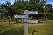 별별여행 > 송산사지근린공원 | 별별시장&별별여행 ┃ 여행문화의 새로운 트렌드를 만들다 별별여행 > 송산사지근린공원