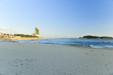 별별여행 > 송지호해수욕장 | 별별시장&별별여행 ┃ 여행문화의 새로운 트렌드를 만들다 별별여행 > 송지호해수욕장