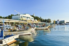 별별여행 > 송지호해수욕장 | 별별시장&별별여행 ┃ 여행문화의 새로운 트렌드를 만들다 별별여행 > 송지호해수욕장