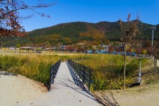 별별여행 > 옥연지생태공원 | 별별시장&별별여행 ┃ 여행문화의 새로운 트렌드를 만들다 별별여행 > 옥연지생태공원