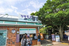 별별여행 > 정방폭포 | 별별시장&별별여행 ┃ 여행문화의 새로운 트렌드를 만들다 별별여행 > 정방폭포