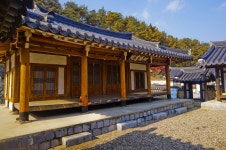 별별여행 > 중평솔밭 | 별별시장&별별여행 ┃ 여행문화의 새로운 트렌드를 만들다 별별여행 > 중평솔밭