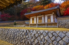 별별여행 > 중평솔밭 | 별별시장&별별여행 ┃ 여행문화의 새로운 트렌드를 만들다 별별여행 > 중평솔밭