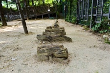 별별여행 > 배봉산유아숲체험장 | 별별시장&별별여행 ┃ 여행문화의 새로운 트렌드를 만들다 별별여행 > 배봉산유아숲체험장