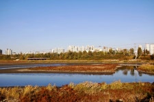 별별여행 > 용현갯골유수지 | 별별시장&별별여행 ┃ 여행문화의 새로운 트렌드를 만들다 별별여행 > 용현갯골유수지