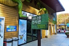 별별여행 > 덕평공룡수목원 | 별별시장&별별여행 ┃ 여행문화의 새로운 트렌드를 만들다 별별여행 > 덕평공룡수목원