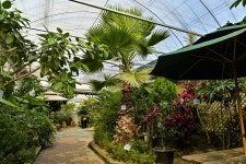 별별여행 > 덕평공룡수목원 | 별별시장&별별여행 ┃ 여행문화의 새로운 트렌드를 만들다 별별여행 > 덕평공룡수목원