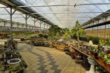 별별여행 > 덕평공룡수목원 | 별별시장&별별여행 ┃ 여행문화의 새로운 트렌드를 만들다 별별여행 > 덕평공룡수목원