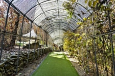 별별여행 > 덕평공룡수목원 | 별별시장&별별여행 ┃ 여행문화의 새로운 트렌드를 만들다 별별여행 > 덕평공룡수목원