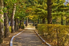별별여행 > 용담근린공원 | 별별시장&별별여행 ┃ 여행문화의 새로운 트렌드를 만들다 별별여행 > 용담근린공원