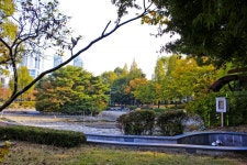 별별여행 > 용담근린공원 | 별별시장&별별여행 ┃ 여행문화의 새로운 트렌드를 만들다 별별여행 > 용담근린공원