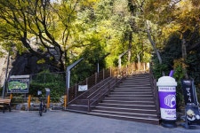 별별여행 > 침산공원 | 별별시장&별별여행 ┃ 여행문화의 새로운 트렌드를 만들다 별별여행 > 침산공원