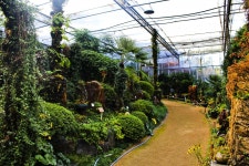 별별여행 > 구덕문화공원 | 별별시장&별별여행 ┃ 여행문화의 새로운 트렌드를 만들다 별별여행 > 구덕문화공원