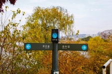 별별여행 > 서호공원 | 별별시장&별별여행 ┃ 여행문화의 새로운 트렌드를 만들다 별별여행 > 서호공원