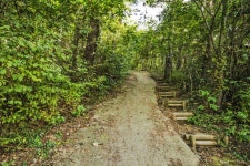 별별여행 > 용인자연휴양림 | 별별시장&별별여행 ┃ 여행문화의 새로운 트렌드를 만들다 별별여행 > 용인자연휴양림