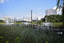 별별여행 > 오창호수공원 | 별별시장&별별여행 ┃ 여행문화의 새로운 트렌드를 만들다 별별여행 > 오창호수공원