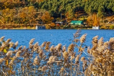 별별여행 > 국화저수지 | 별별시장&별별여행 ┃ 여행문화의 새로운 트렌드를 만들다 별별여행 > 국화저수지