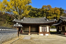 별별여행 > 동구릉 | 별별시장&별별여행 ┃ 여행문화의 새로운 트렌드를 만들다 별별여행 > 동구릉