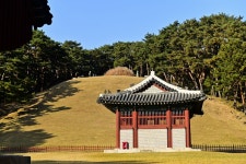 별별여행 > 동구릉 | 별별시장&별별여행 ┃ 여행문화의 새로운 트렌드를 만들다 별별여행 > 동구릉