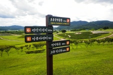 별별여행 > 경덕왕릉 의성조문국사적지 | 별별시장&별별여행 ┃ 여행문화의 새로운 트렌드를 만들다 별별여행 > 경덕왕릉 의성조문국사적지