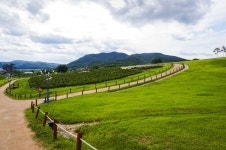 별별여행 > 경덕왕릉 의성조문국사적지 | 별별시장&별별여행 ┃ 여행문화의 새로운 트렌드를 만들다 별별여행 > 경덕왕릉 의성조문국사적지