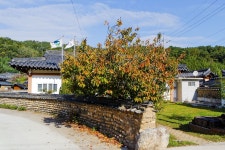 별별여행 > 개실마을 | 별별시장&별별여행 ┃ 여행문화의 새로운 트렌드를 만들다 별별여행 > 개실마을