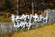 별별여행 > 배실웨딩공원 | 별별시장&별별여행 ┃ 여행문화의 새로운 트렌드를 만들다 별별여행 > 배실웨딩공원