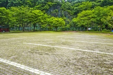 별별여행 > 대전사 | 별별시장&별별여행 ┃ 여행문화의 새로운 트렌드를 만들다 별별여행 > 대전사