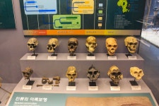 별별여행 > 지질박물관 | 별별시장&별별여행 ┃ 여행문화의 새로운 트렌드를 만들다 별별여행 > 지질박물관