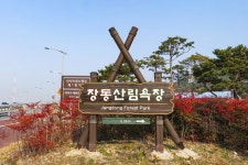 별별여행 > 계족산황톳길 | 별별시장&별별여행 ┃ 여행문화의 새로운 트렌드를 만들다 별별여행 > 계족산황톳길