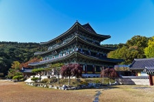 별별여행 > 서광사 | 별별시장&별별여행 ┃ 여행문화의 새로운 트렌드를 만들다 별별여행 > 서광사