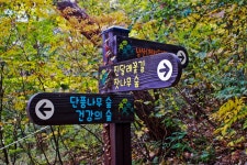 별별여행 > 강화읍생태체험숲 | 별별시장&별별여행 ┃ 여행문화의 새로운 트렌드를 만들다 별별여행 > 강화읍생태체험숲