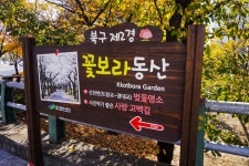 별별여행 > 꽃보라동산 | 별별시장&별별여행 ┃ 여행문화의 새로운 트렌드를 만들다 별별여행 > 꽃보라동산