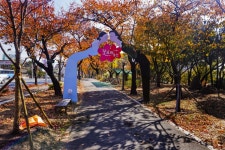 별별여행 > 꽃보라동산 | 별별시장&별별여행 ┃ 여행문화의 새로운 트렌드를 만들다 별별여행 > 꽃보라동산