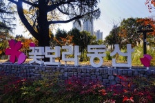 별별여행 > 꽃보라동산 | 별별시장&별별여행 ┃ 여행문화의 새로운 트렌드를 만들다 별별여행 > 꽃보라동산