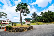 별별여행 > 포은정몽주선생묘 | 별별시장&별별여행 ┃ 여행문화의 새로운 트렌드를 만들다 별별여행 > 포은정몽주선생묘