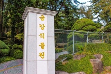 별별여행 > 금강식물원 | 별별시장&별별여행 ┃ 여행문화의 새로운 트렌드를 만들다 별별여행 > 금강식물원