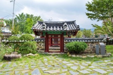 별별여행 > 광주충효동왕버들군 | 별별시장&별별여행 ┃ 여행문화의 새로운 트렌드를 만들다 별별여행 > 광주충효동왕버들군