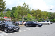 별별여행 > 광주충효동왕버들군 | 별별시장&별별여행 ┃ 여행문화의 새로운 트렌드를 만들다 별별여행 > 광주충효동왕버들군