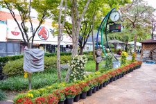 별별여행 > 유성온천공원 | 별별시장&별별여행 ┃ 여행문화의 새로운 트렌드를 만들다 별별여행 > 유성온천공원