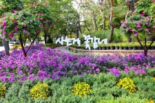 별별여행 > 유성온천공원 | 별별시장&별별여행 ┃ 여행문화의 새로운 트렌드를 만들다 별별여행 > 유성온천공원