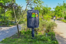 별별여행 > 푸른수목원 | 별별시장&별별여행 ┃ 여행문화의 새로운 트렌드를 만들다 별별여행 > 푸른수목원