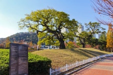 별별여행 > APEC나루공원 | 별별시장&별별여행 ┃ 여행문화의 새로운 트렌드를 만들다 별별여행 > APEC나루공원