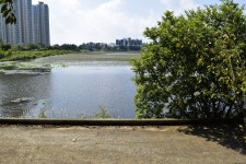 별별여행 > 오송호수공원 | 별별시장&별별여행 ┃ 여행문화의 새로운 트렌드를 만들다 별별여행 > 오송호수공원