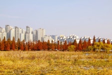 별별여행 > 일월공원저수지 | 별별시장&별별여행 ┃ 여행문화의 새로운 트렌드를 만들다 별별여행 > 일월공원저수지