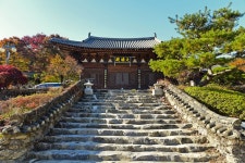 별별여행 > 백련사 | 별별시장&별별여행 ┃ 여행문화의 새로운 트렌드를 만들다 별별여행 > 백련사