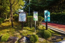 별별여행 > 남산근린공원 | 별별시장&별별여행 ┃ 여행문화의 새로운 트렌드를 만들다 별별여행 > 남산근린공원