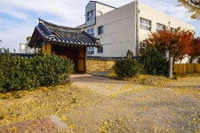 별별여행 > 풍기향교 | 별별시장&별별여행 ┃ 여행문화의 새로운 트렌드를 만들다 별별여행 > 풍기향교