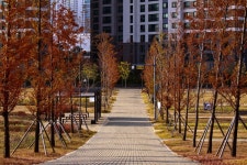 신송 사진 4
